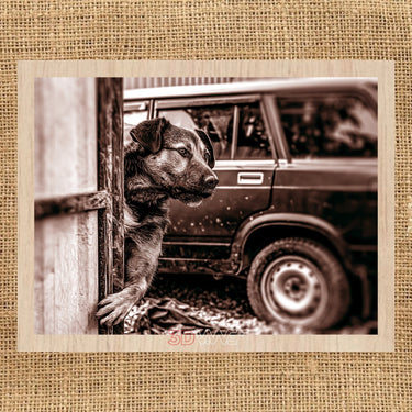 OLD CAR AND DOG pyroprinter & laser-ready files 3DWave.us